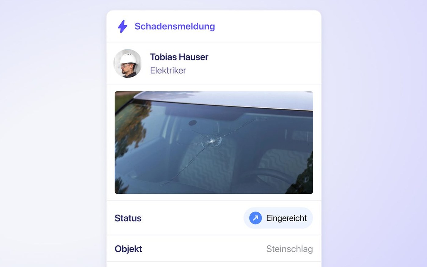 Vorschau Schadensmeldung